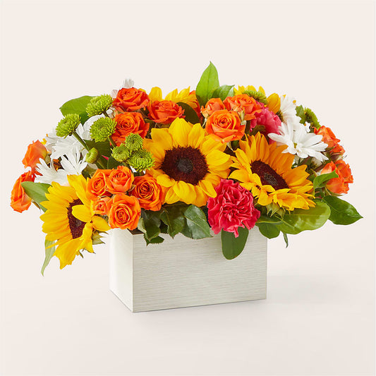 Sun-drenched Blooms Box Bouquet – PIERSON'S FLOWER SHOP & GREENHOUSES INC, Cedar Rapids IA