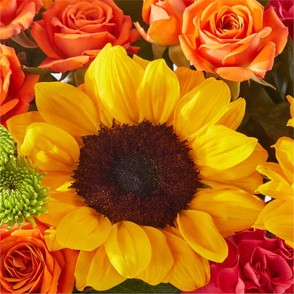 Sun-drenched Blooms Box Bouquet – PIERSON'S FLOWER SHOP & GREENHOUSES INC, Cedar Rapids IA