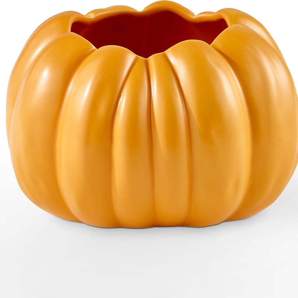 Golden Gourd Pumpkin Bouquet – PIERSON'S FLOWER SHOP & GREENHOUSES INC, Cedar Rapids IA