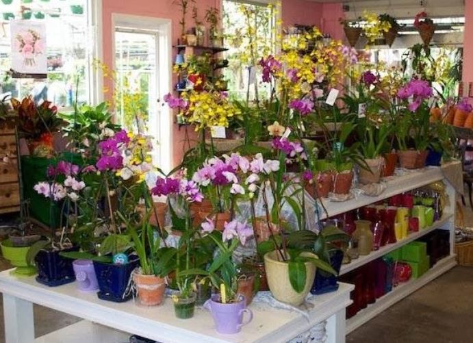 Cedar Rapids Florist with SameDay Delivery Pierson's Flower Shop