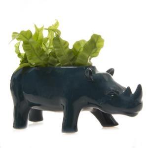 RHINOCEROS – PIERSON'S FLOWER SHOP & GREENHOUSES INC, Cedar Rapids IA
