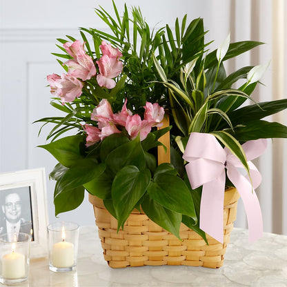 Living Spirit Dishgarden – PIERSON'S FLOWER SHOP & GREENHOUSES INC, Cedar Rapids IA