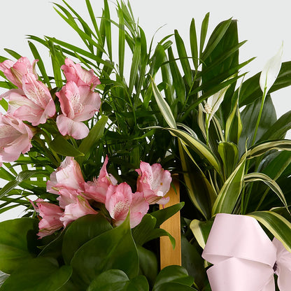 Living Spirit Dishgarden – PIERSON'S FLOWER SHOP & GREENHOUSES INC, Cedar Rapids IA