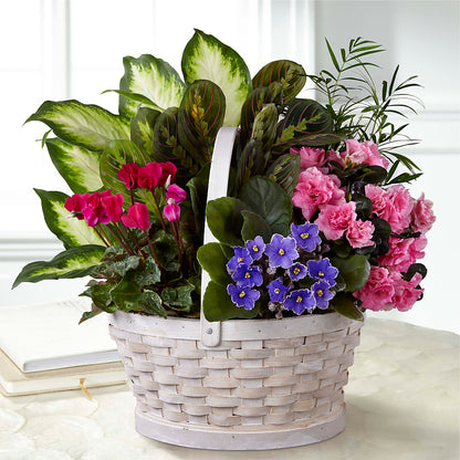 Peaceful Garden Planter – PIERSON'S FLOWER SHOP & GREENHOUSES INC, Cedar Rapids IA