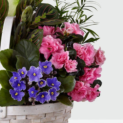 Peaceful Garden Planter – PIERSON'S FLOWER SHOP & GREENHOUSES INC, Cedar Rapids IA