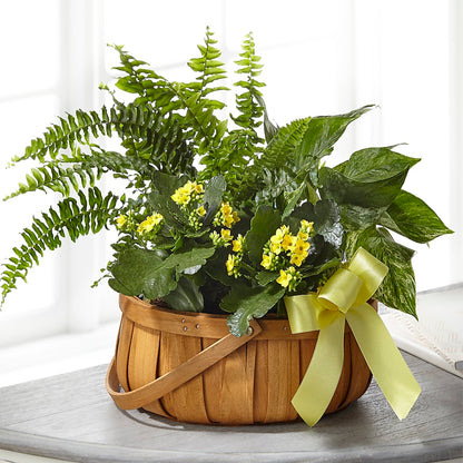 Always Dear Dishgarden – PIERSON'S FLOWER SHOP & GREENHOUSES INC, Cedar Rapids IA