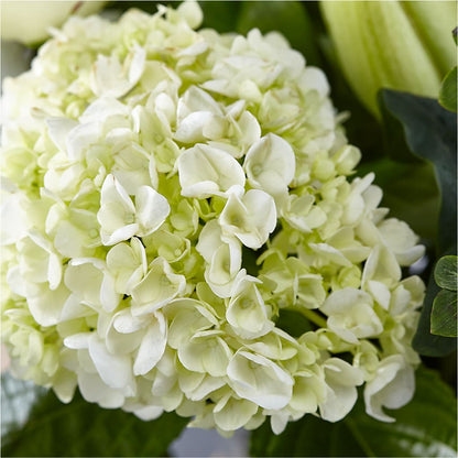 Classic Ivory – A Florist Original – PIERSON'S FLOWER SHOP & GREENHOUSES INC, Cedar Rapids IA