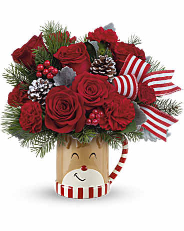 TEL SEND A HUG REINDEER WISH