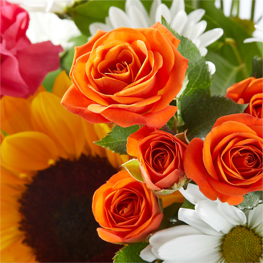 Sun-drenched Blooms Bouquet – PIERSON'S FLOWER SHOP & GREENHOUSES INC, Cedar Rapids IA