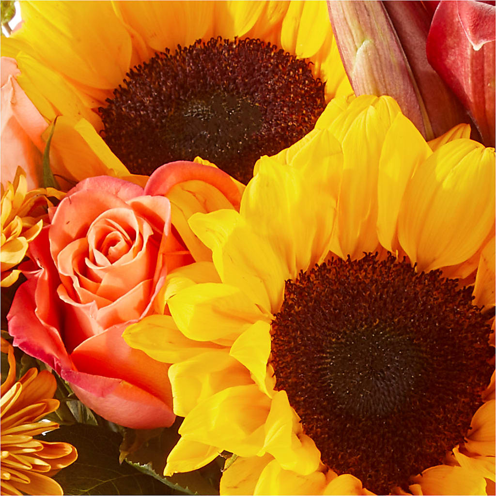 Acorn Lane Bouquet – PIERSON'S FLOWER SHOP & GREENHOUSES INC, Cedar Rapids IA