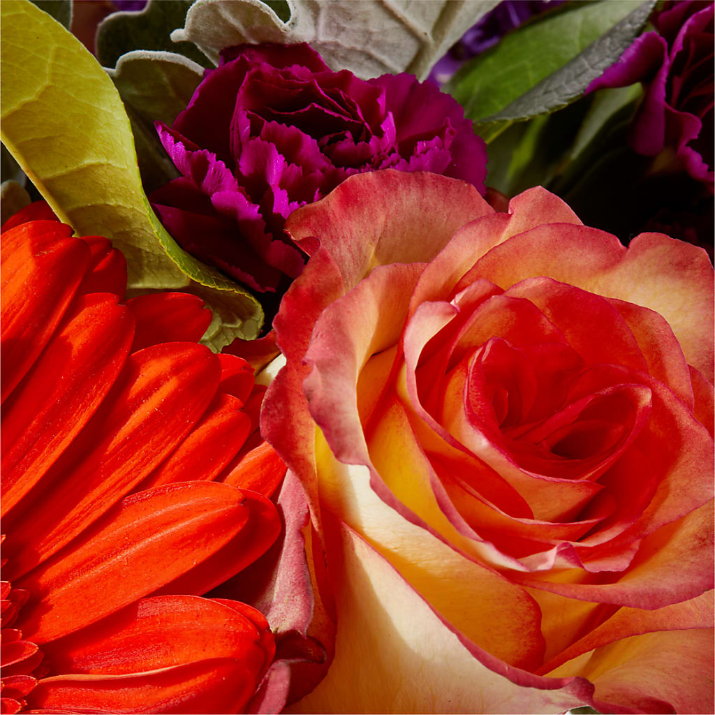 Sangria Bouquet – PIERSON'S FLOWER SHOP & GREENHOUSES INC, Cedar Rapids IA