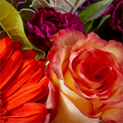 Sangria Bouquet – PIERSON'S FLOWER SHOP & GREENHOUSES INC, Cedar Rapids IA