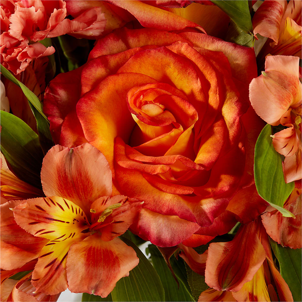 Apricot Glow Bouquet – PIERSON'S FLOWER SHOP & GREENHOUSES INC, Cedar Rapids IA