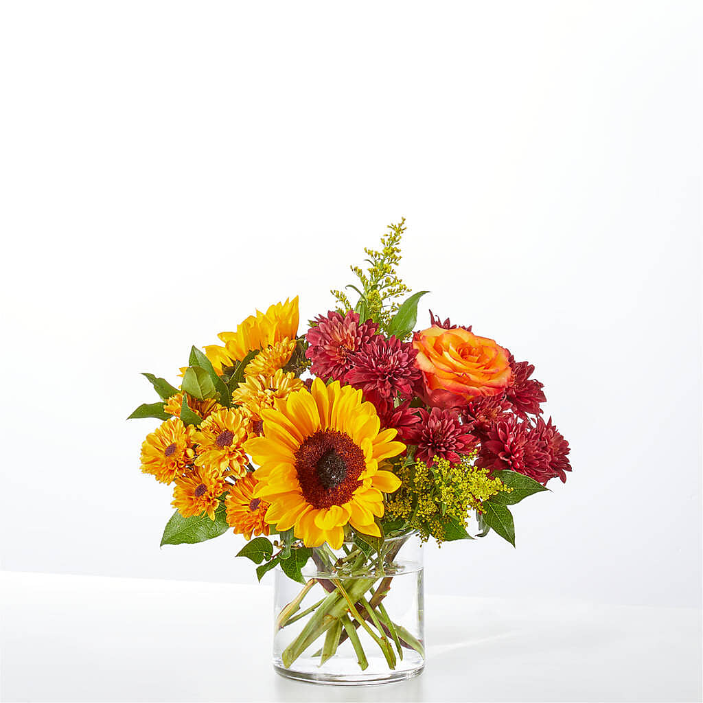 Flannel Scarf Bouquet – PIERSON'S FLOWER SHOP & GREENHOUSES INC, Cedar Rapids IA