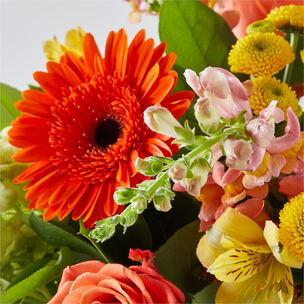Autumn Sunshine Bouquet – PIERSON'S FLOWER SHOP & GREENHOUSES INC, Cedar Rapids IA