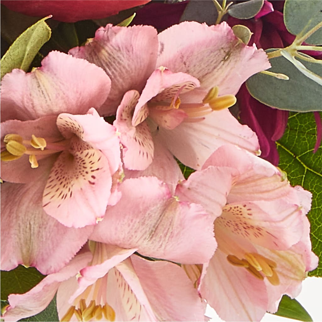 Berry Cobbler Bouquet – PIERSON'S FLOWER SHOP & GREENHOUSES INC, Cedar Rapids IA