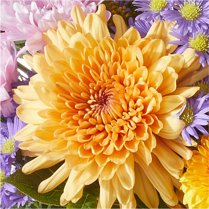 Countryside Bouquet – PIERSON'S FLOWER SHOP & GREENHOUSES INC, Cedar Rapids IA