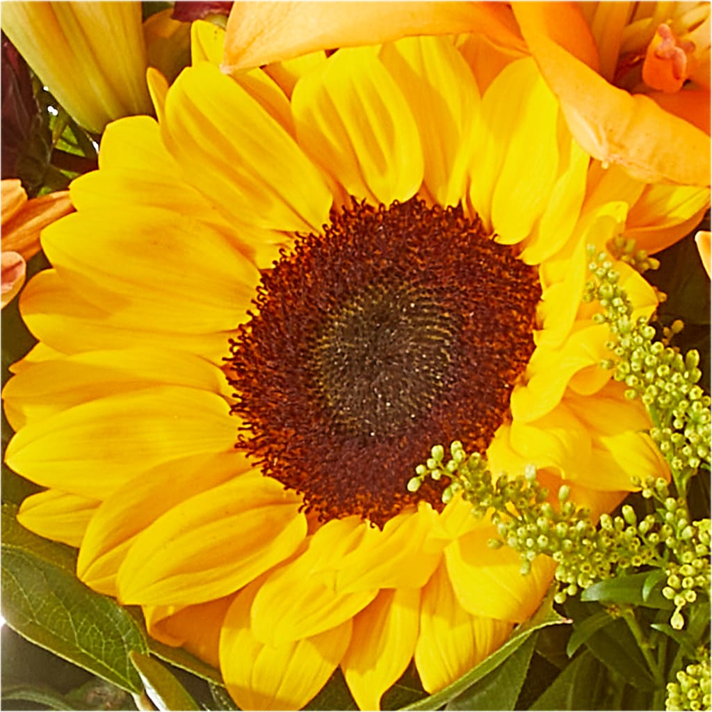 Seasons Change Bouquet – PIERSON'S FLOWER SHOP & GREENHOUSES INC, Cedar Rapids IA