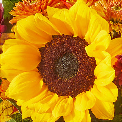 Sunny Side Bouquet – PIERSON'S FLOWER SHOP & GREENHOUSES INC, Cedar Rapids IA