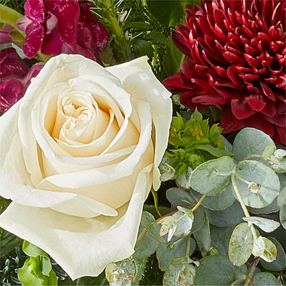 Cranberry Fizz Bouquet – PIERSON'S FLOWER SHOP & GREENHOUSES INC, Cedar Rapids IA
