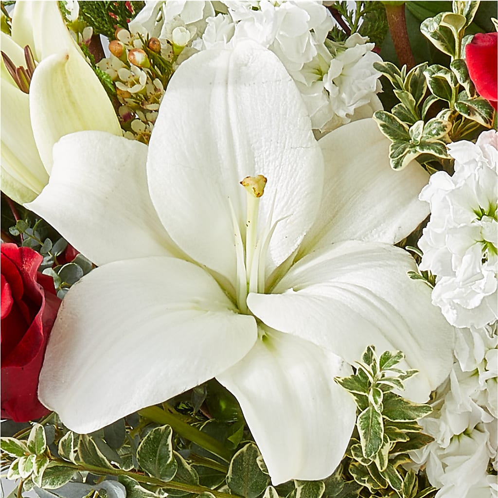 Twinkle Lights Bouquet – PIERSON'S FLOWER SHOP & GREENHOUSES INC, Cedar Rapids IA