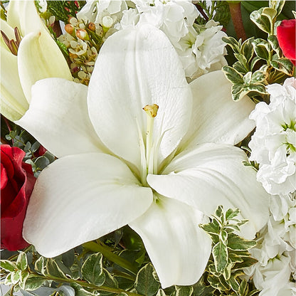 Twinkle Lights Bouquet – PIERSON'S FLOWER SHOP & GREENHOUSES INC, Cedar Rapids IA