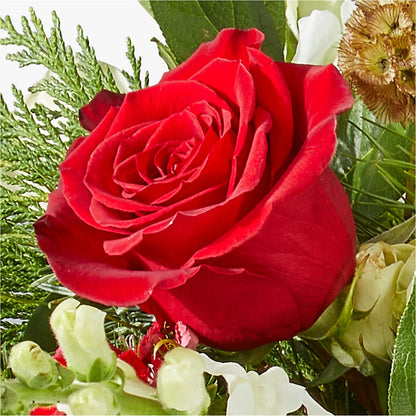 Deck the Halls Bouquet – PIERSON'S FLOWER SHOP & GREENHOUSES INC, Cedar Rapids IA
