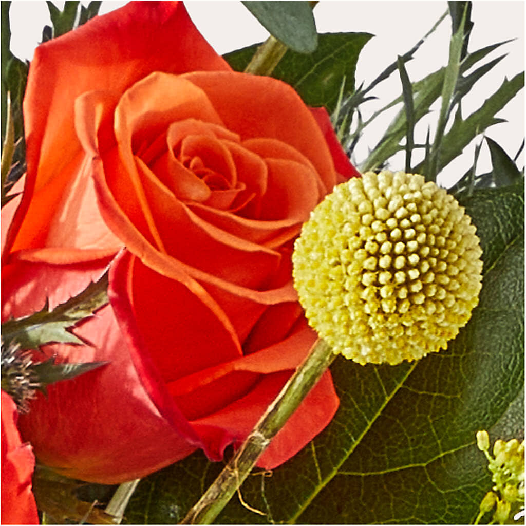 Disco Bouquet – PIERSON'S FLOWER SHOP & GREENHOUSES INC, Cedar Rapids IA