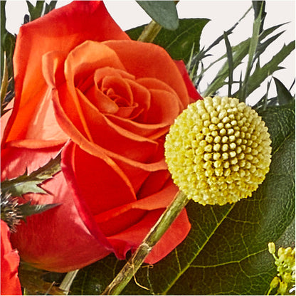 Disco Bouquet – PIERSON'S FLOWER SHOP & GREENHOUSES INC, Cedar Rapids IA