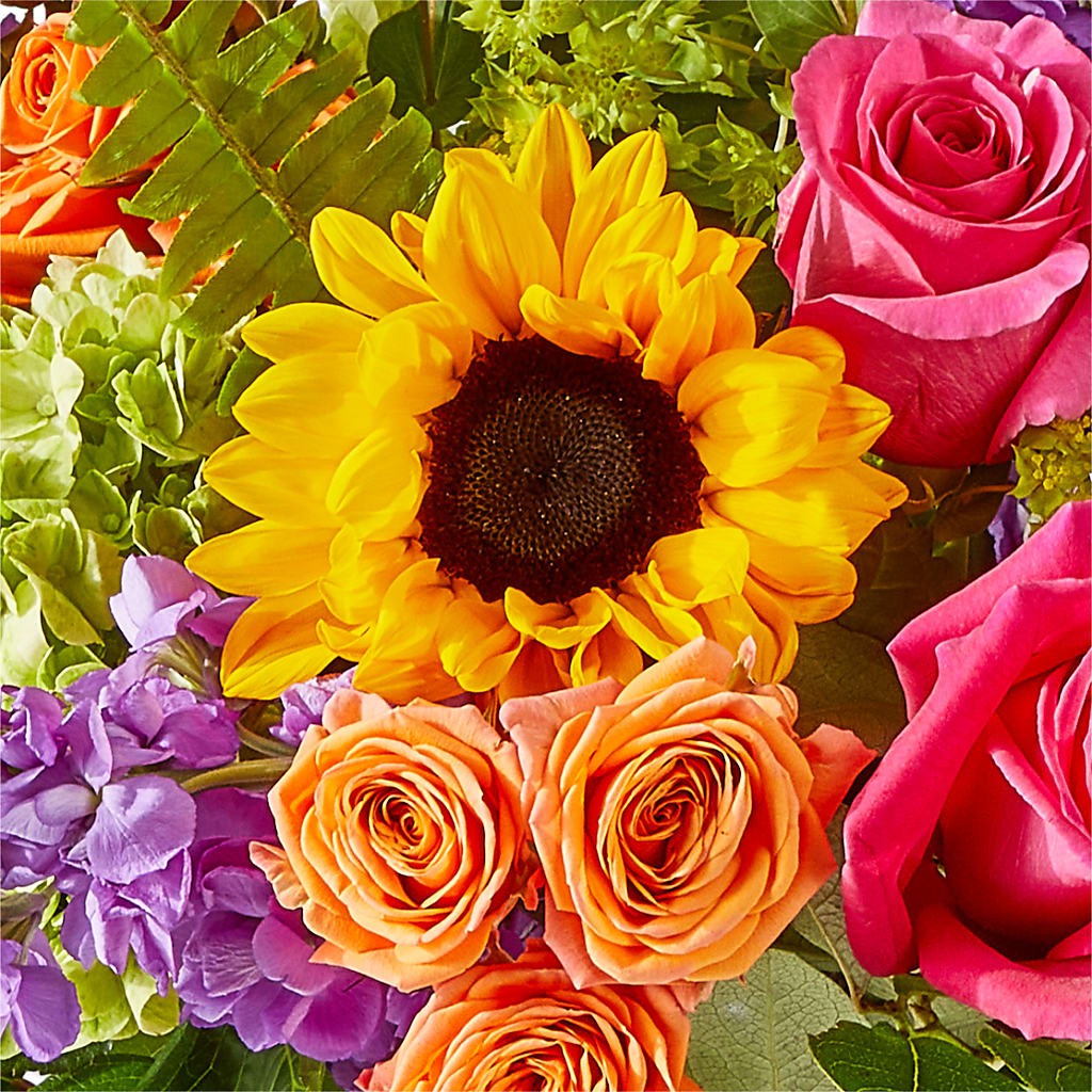 Vibrant Greetings Bouquet – PIERSON'S FLOWER SHOP & GREENHOUSES INC, Cedar Rapids IA