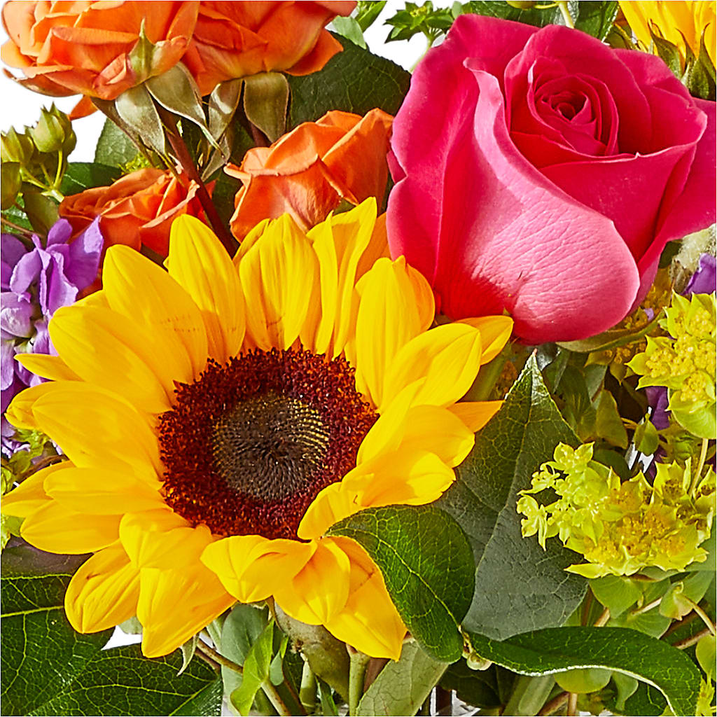 Vibrant Greetings Bouquet – PIERSON'S FLOWER SHOP & GREENHOUSES INC, Cedar Rapids IA
