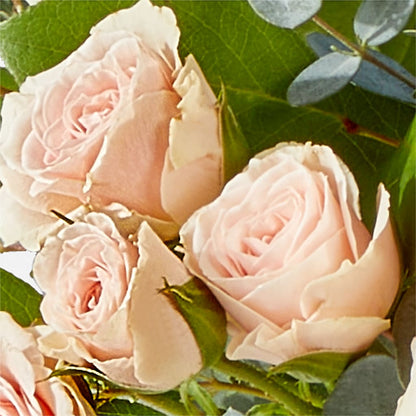 Inspired Bouquet – PIERSON'S FLOWER SHOP & GREENHOUSES INC, Cedar Rapids IA