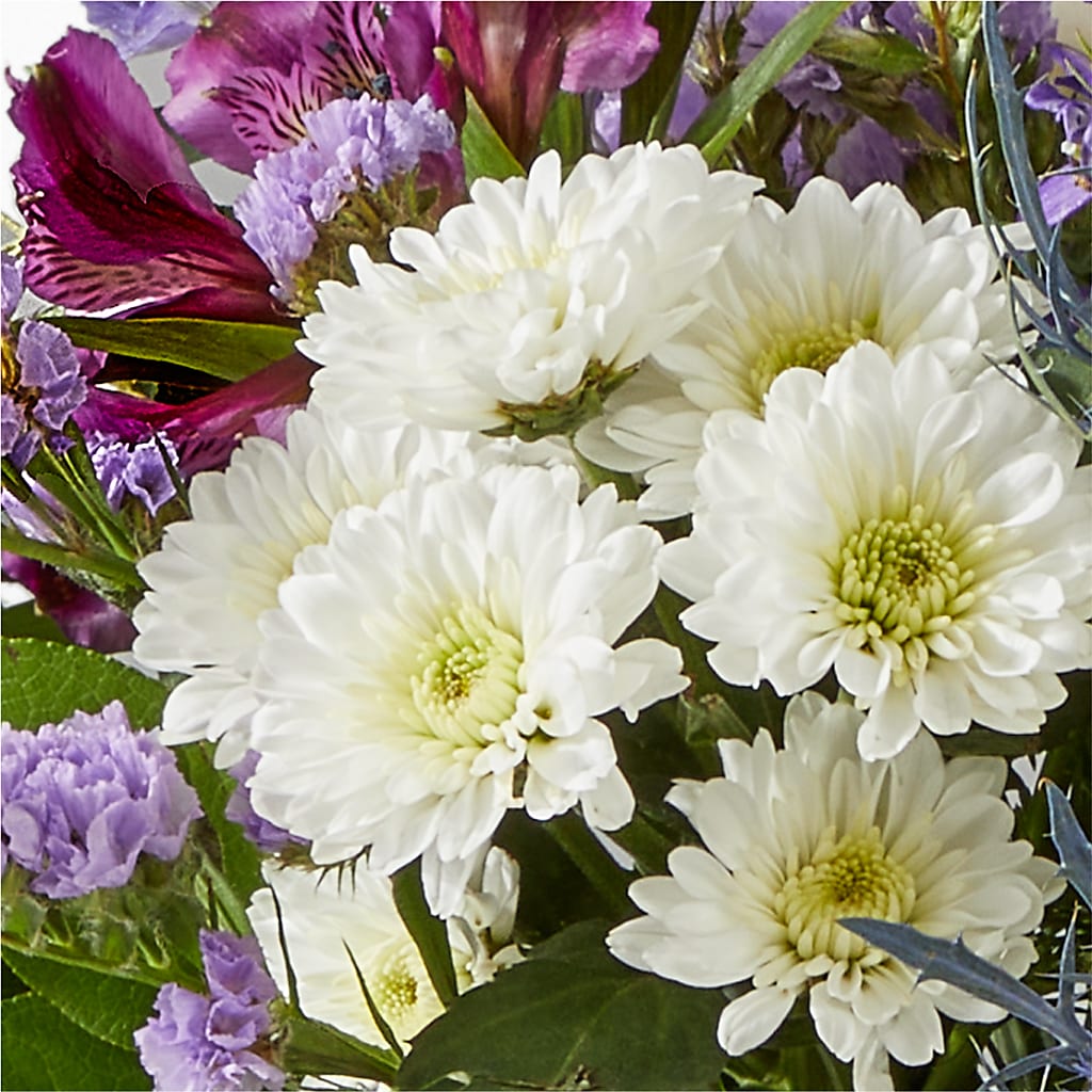 Shooting Star Bouquet – PIERSON'S FLOWER SHOP & GREENHOUSES INC, Cedar Rapids IA