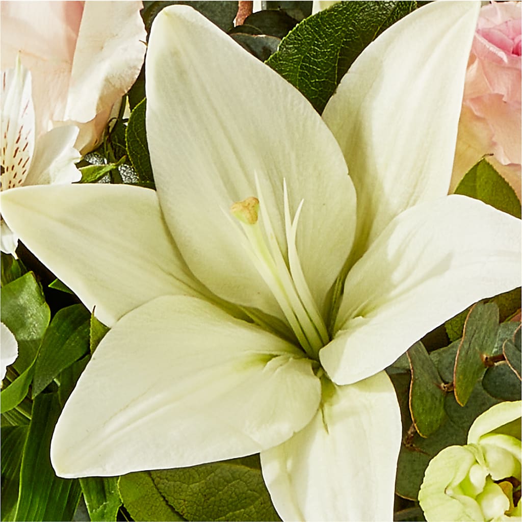 Ballet Slippers Bouquet – PIERSON'S FLOWER SHOP & GREENHOUSES INC, Cedar Rapids IA