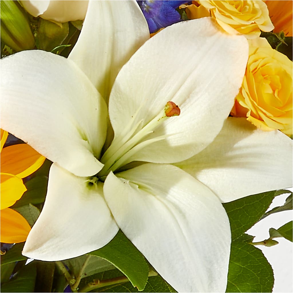 Wonderfully Sunny Bouquet – PIERSON'S FLOWER SHOP & GREENHOUSES INC, Cedar Rapids IA