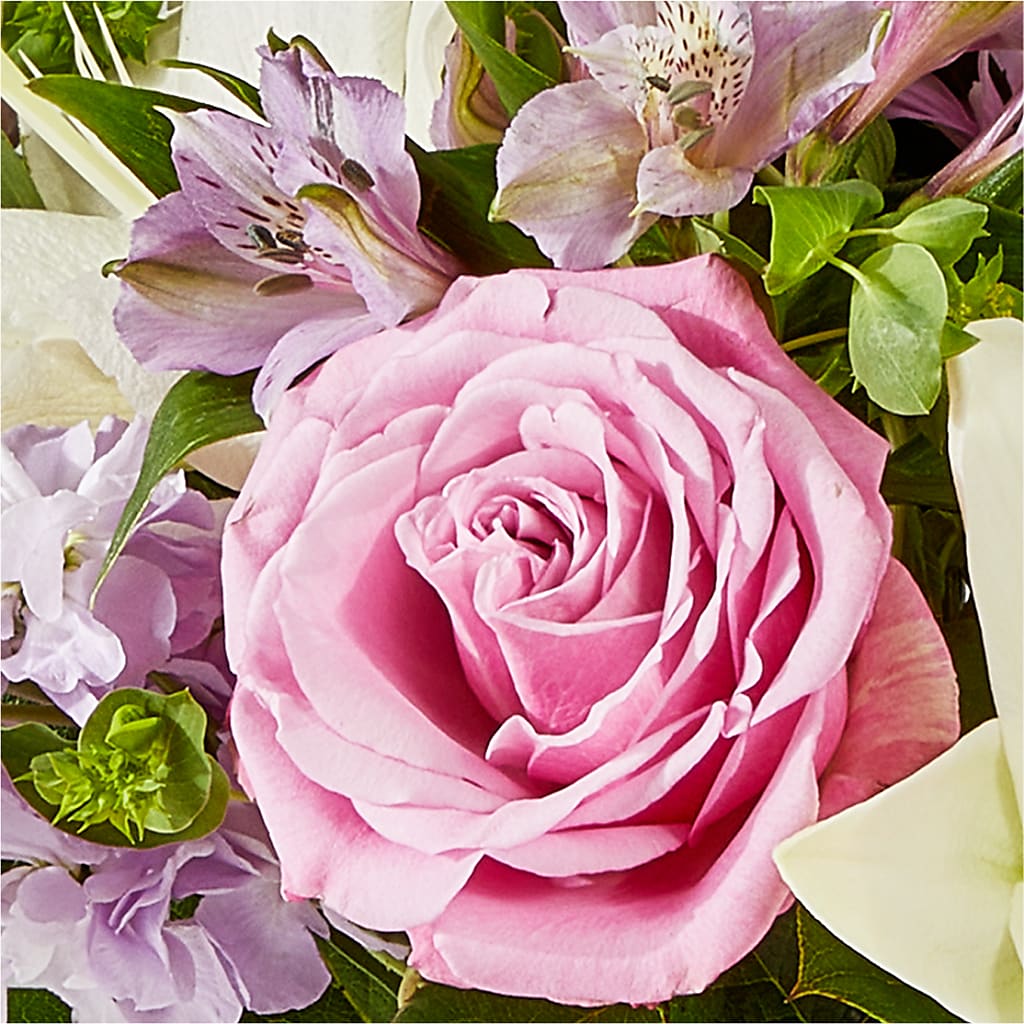 Daydreamer Bouquet – PIERSON'S FLOWER SHOP & GREENHOUSES INC, Cedar Rapids IA