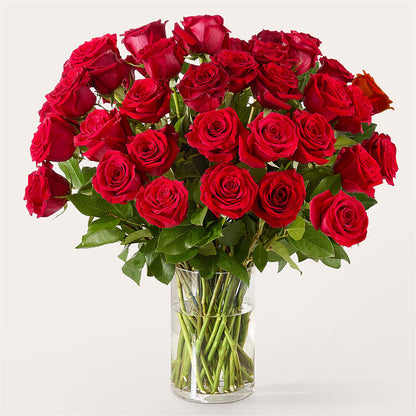 The One Red Rose Bouquet – PIERSON'S FLOWER SHOP & GREENHOUSES INC, Cedar Rapids IA