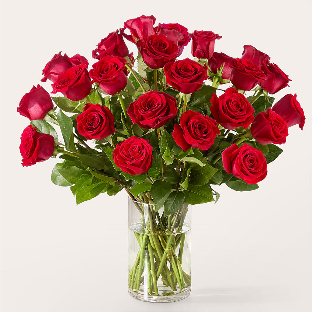 The One Red Rose Bouquet – PIERSON'S FLOWER SHOP & GREENHOUSES INC, Cedar Rapids IA