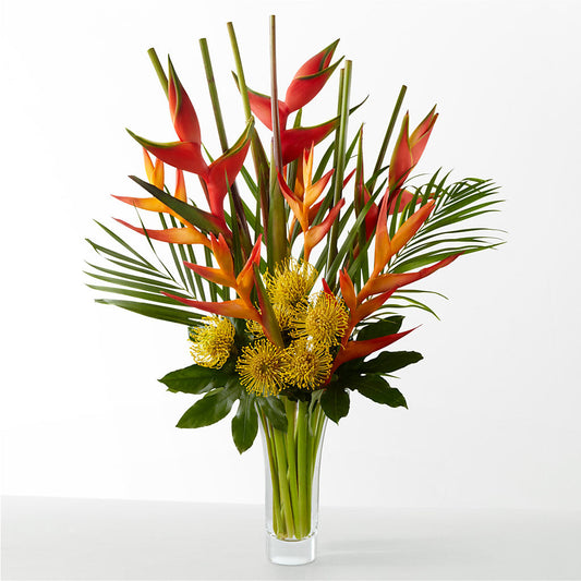 The Drama – PIERSON'S FLOWER SHOP & GREENHOUSES INC, Cedar Rapids IA