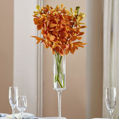 Orange Mokara Bouquet – PIERSON'S FLOWER SHOP & GREENHOUSES INC, Cedar Rapids IA