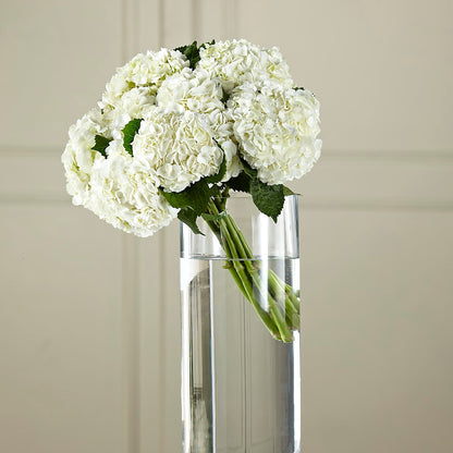 White Hydrangea Hand-Tied Bouquet – PIERSON'S FLOWER SHOP & GREENHOUSES INC, Cedar Rapids IA