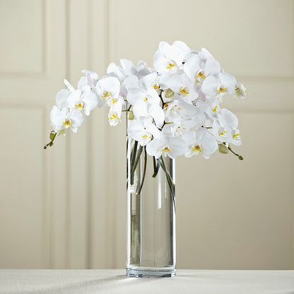 White Phalaenopsis Bouquet – PIERSON'S FLOWER SHOP & GREENHOUSES INC, Cedar Rapids IA