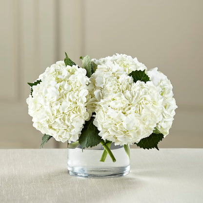 White Hydrangea Bouquet – PIERSON'S FLOWER SHOP & GREENHOUSES INC, Cedar Rapids IA