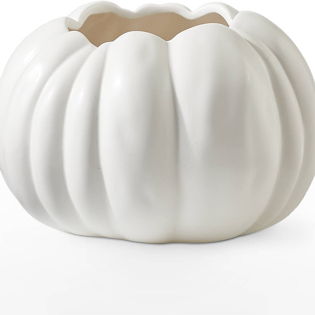 Pumpkin to Talk About Bouquet – PIERSON'S FLOWER SHOP & GREENHOUSES INC, Cedar Rapids IA